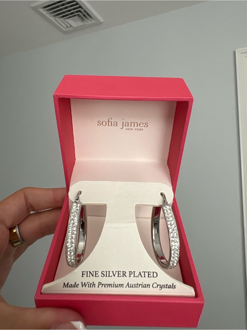 Fine Silver-Plated Crystal Hoop Earrings